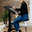 Easydesk PRO zwart