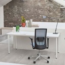 HAG Futu Mesh 1100-S Frost home office