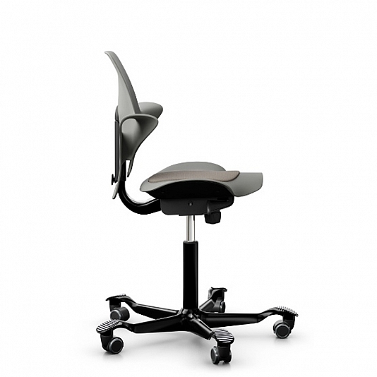 HAG Capisco Puls 8010 Side