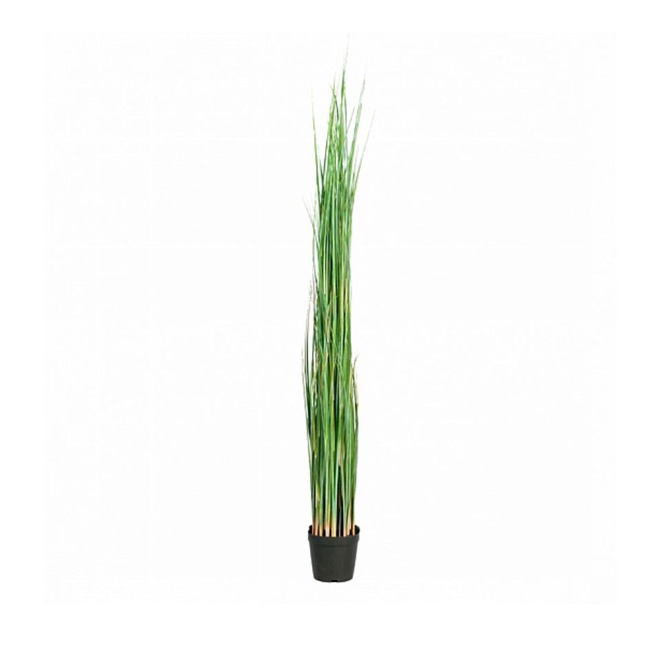 Götessons Grass