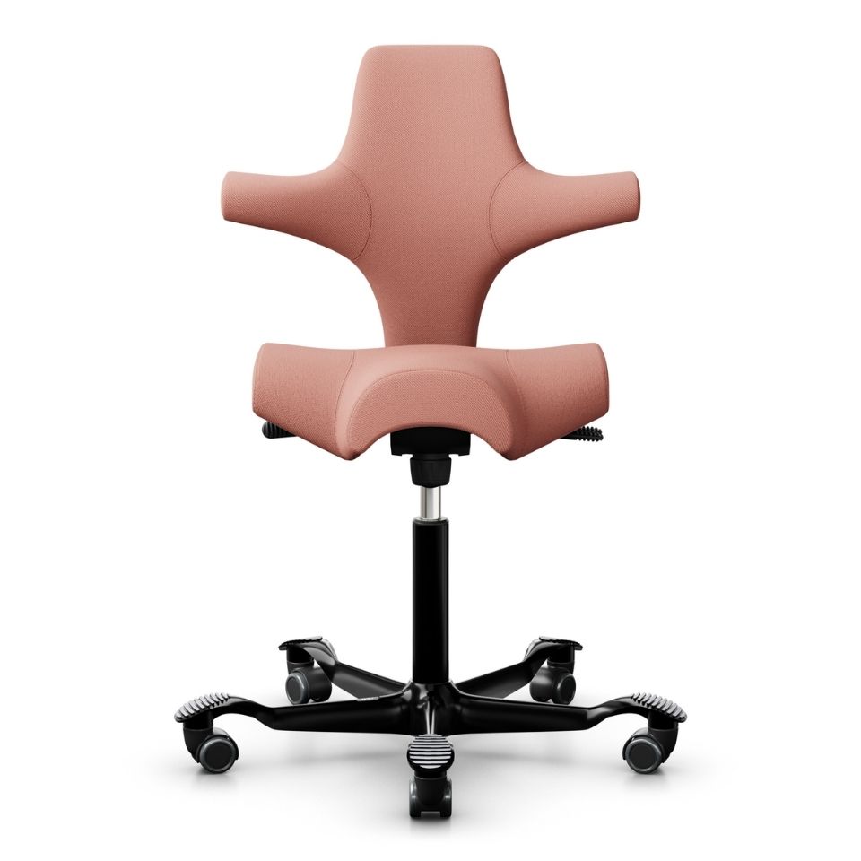 HAG Capisco 8106 Rose Select 