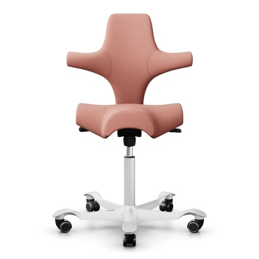 HAG Capisco 8106 Rosa Select 