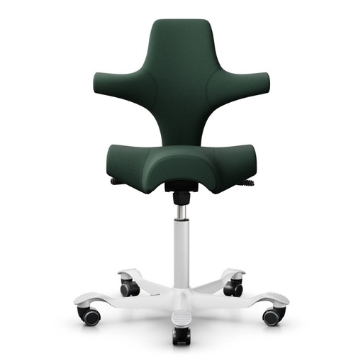 HAG Capisco 8106 Vert Select - Bestseller